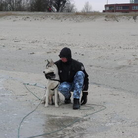 Hondenfoto van Dy-Ann