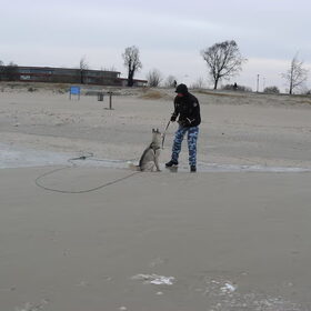 Hondenfoto van Dy-Ann