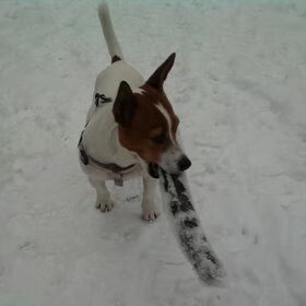 sneeuw