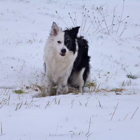 49 weken - I love snow!