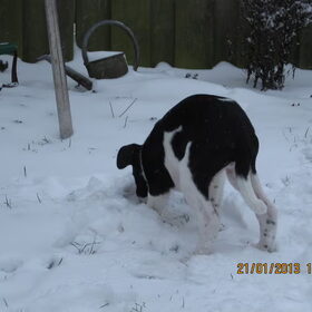 mm even hier snuffelen