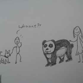 Walking my panda