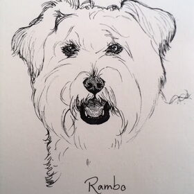 Rambo inkt