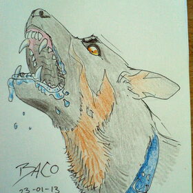 Baco inkt + potlood
