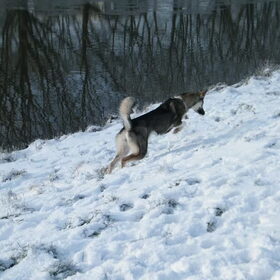 Jump