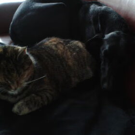 samen lekker warm