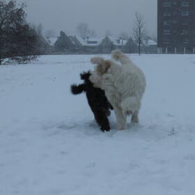 Yeaah! Snow!