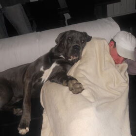 2 pubers op de bank beetje chillen??