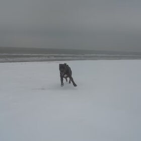 lekker in de sneeuw op strand