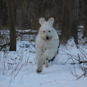 I'm coming!