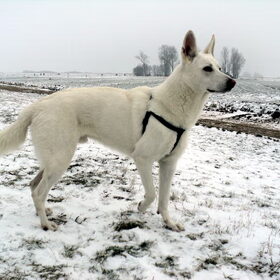 Mike in de sneeuw