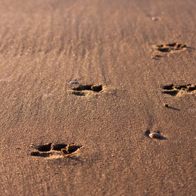 You leave footprints in my heart.