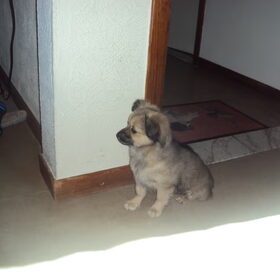 w8tend op de poes hihihi