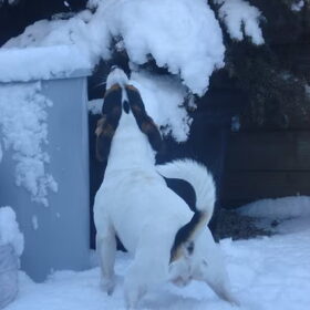 mmm lekkere verse sneeuw