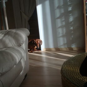 De zon in huis, word ik wel vrolijk van !!