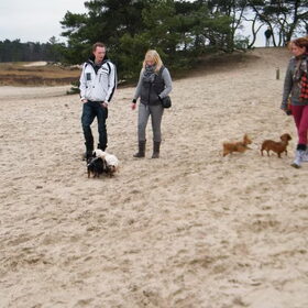 Hondenfoto van Dreamteam