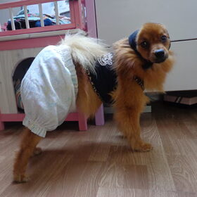 Carnaval