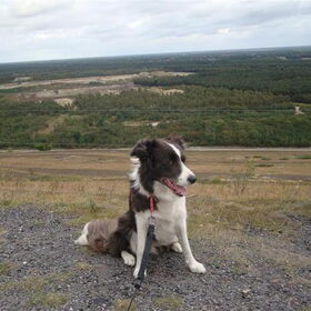 de wandeling in heusden-zolder