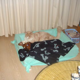 Liefde is, samen delen (ook de mand)