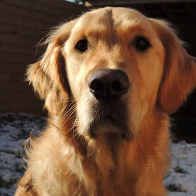 Lieve Max :D 6-2-2013 (2 jaar, 5 maanden)