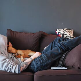 Hondenfoto van Michal & Plato