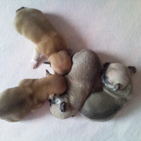 1week oud!