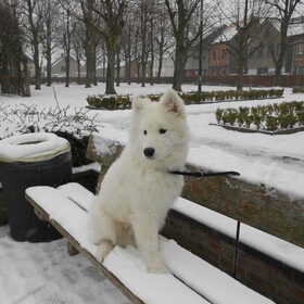 mijn fotomodel :)