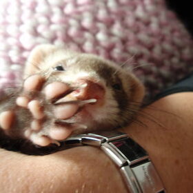 nog schattiger dan jochem: baby jochem