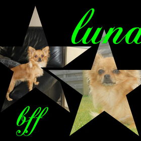luna