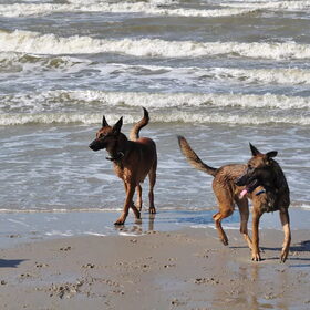 Een dag aan zee