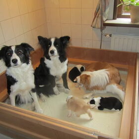 Pepper haar kids met oma en tante op kraamvisite.
