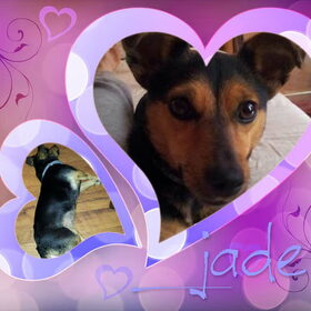 jade