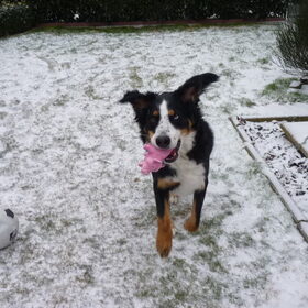 Sneeuwpret!