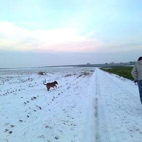 Lopen met Henk, heeeerlijk! Febr. 2013