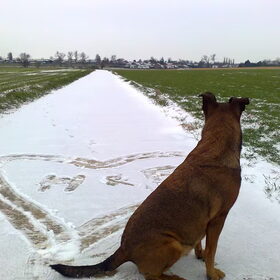 Wel wel wel...