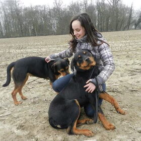 Samen met asielhondjes Zorro en Zina. Zorro vond ondertussen al…