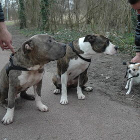 Check deze Pic luitjes! Volg die vier trouwe kijkers van deze…