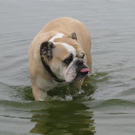 hmm ..nog wel aardig dat water