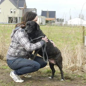 Knuffelen met asielhondje Gina