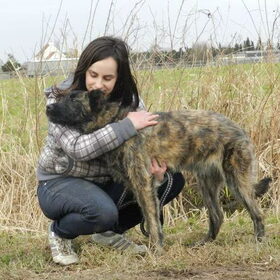 Knuffelen met ex-asielhondje Chanaya