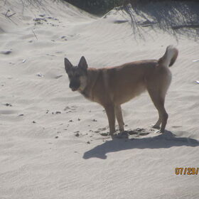 cutie aan zee !