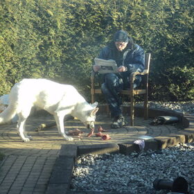 Mike eet konijn