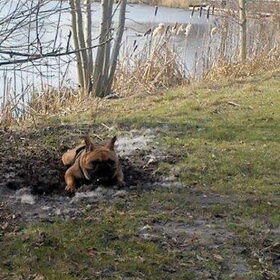 En ff rusten...........