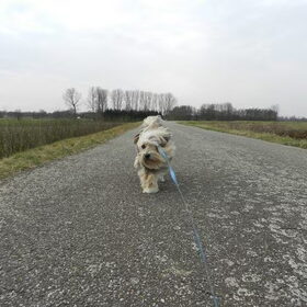 De wind waait wel hard hoor op de dijk :-)