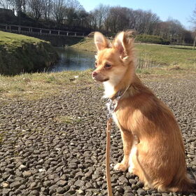 pauze in de warme zon