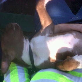 babyAce bij mij op schoot