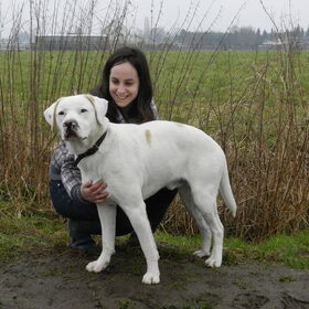 Samen met asielhondje Spot