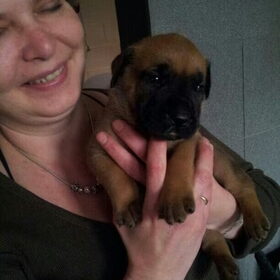 Hondenfoto van Dees & dogs