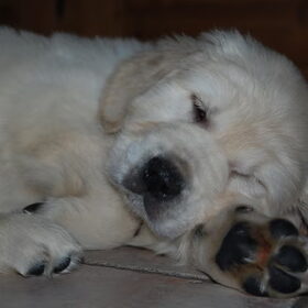 Schattig he??