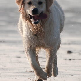 "I'm coming!"